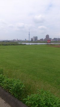 柴又サイクリング