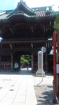 柴又サイクリング