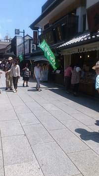 柴又サイクリング
