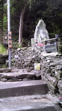 徳島情報
