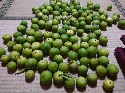 隊長という呼び名! 隊長という呼び名!