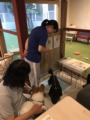 第1回しつけ教室 第1回しつけ教室