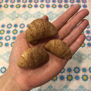 犬のパン 犬のパン
