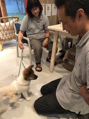 第1回しつけ教室 第1回しつけ教室