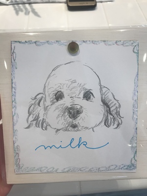 愛犬の似顔絵描きます 愛犬の似顔絵描きます