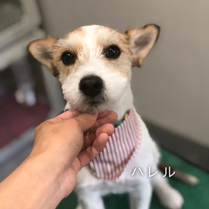 可愛いお客様❤️ 可愛いお客様❤️