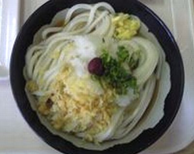 やま家の冷かけうどん