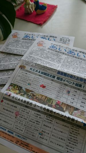 成婚への知恵袋☆ 成婚への知恵袋☆