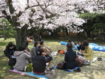 :4月イベント お花見: