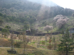 ☆善通寺五岳の里 市民集いの丘公園☆