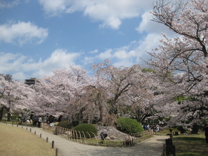 :4月イベント お花見: