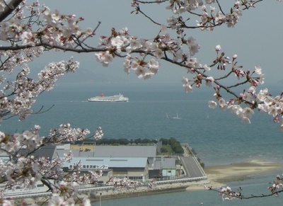 穏やかな瀬戸内海と桜