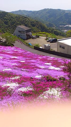 徳島へ。