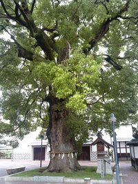 満濃リベンジ その1