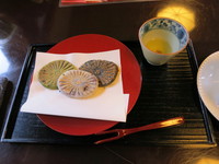 さくら巡り (in 徳島)