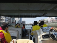 さくら巡り (in 徳島)