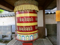 さくら巡り (in 徳島)