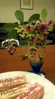 木通の花とミルフィユ