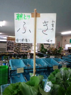 タラの芽大好き♪