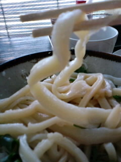 ビニールハウスのうどん屋岸井♪