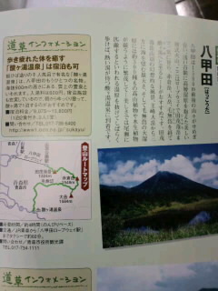 日赤に来てます