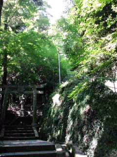 今日は一日八栗さん