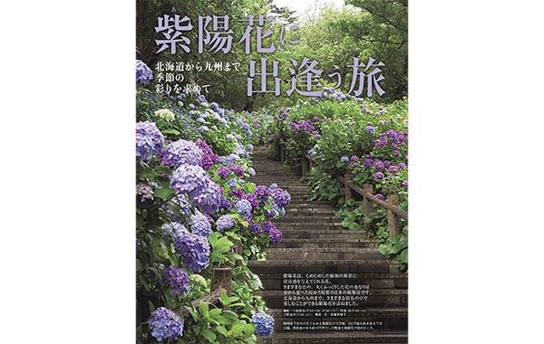 ひねくれて見た『家庭画報』 ひねくれて見た『家庭画報』