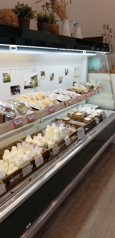 ひとりでランチに行ける所見っけ ひとりでランチに行ける所見っけ