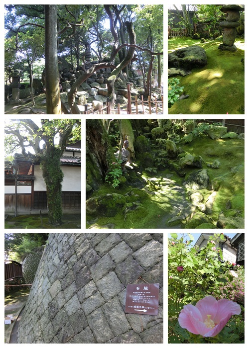 圧倒される「旧野崎家住宅」と子孫の方と出会う。 圧倒される「旧野崎家住宅」と子孫の方と出会う。
