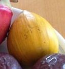 沖縄ならではの果物? 沖縄ならではの果物?