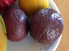 沖縄ならではの果物? 沖縄ならではの果物?