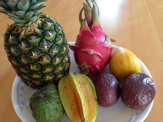 沖縄ならではの果物? 沖縄ならではの果物?