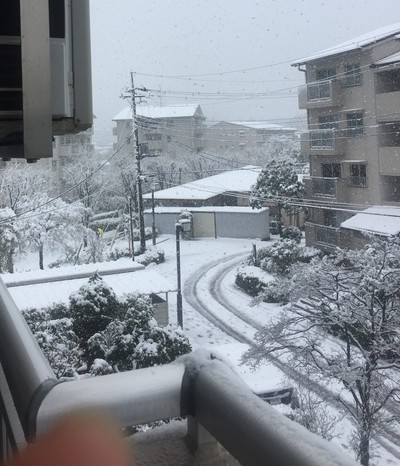 オバアサンなんて、一生呼ばれたくないけど オバアサンなんて、一生呼ばれたくないけど