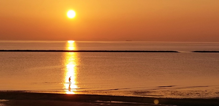 感動の夕陽が撮れた~~ 感動の夕陽が撮れた~~