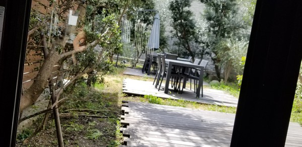 お茶会より、守破離のランチが楽しみだったかな? お茶会より、守破離のランチが楽しみだったかな?