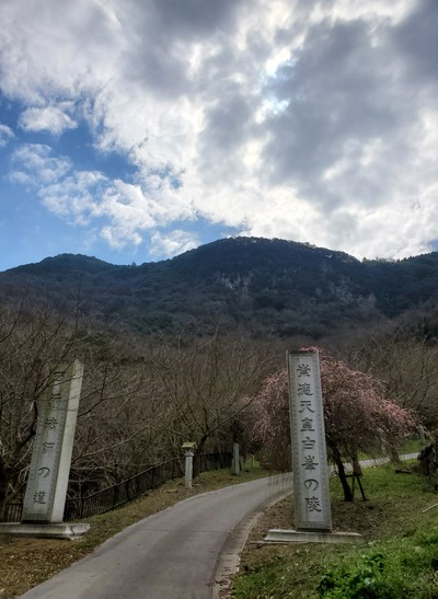 河津桜を見に行って、大きなおまけがあった。 河津桜を見に行って、大きなおまけがあった。