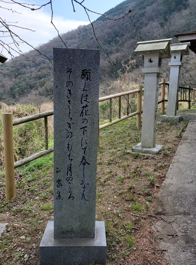 河津桜を見に行って、大きなおまけがあった。 河津桜を見に行って、大きなおまけがあった。