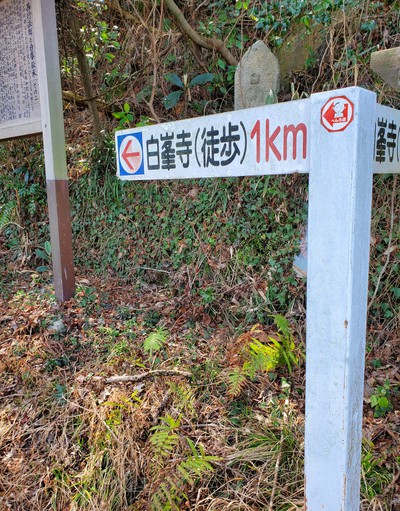 河津桜を見に行って、大きなおまけがあった。 河津桜を見に行って、大きなおまけがあった。