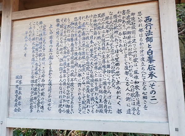 河津桜を見に行って、大きなおまけがあった。 河津桜を見に行って、大きなおまけがあった。