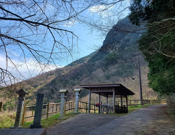 河津桜を見に行って、大きなおまけがあった。 河津桜を見に行って、大きなおまけがあった。