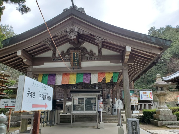 河津桜を見に行って、大きなおまけがあった。 河津桜を見に行って、大きなおまけがあった。