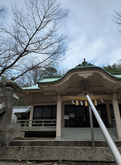 河津桜を見に行って、大きなおまけがあった。 河津桜を見に行って、大きなおまけがあった。