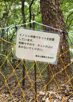森林浴ウォークのあとのビールの一杯が美味しかった~ 森林浴ウォークのあとのビールの一杯が美味しかった~