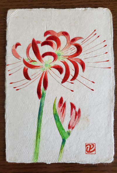 27年を経て、よみがえった花だより 27年を経て、よみがえった花だより
