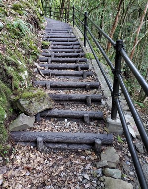 楽しかった、北川村温泉「ゆずの宿」周辺散策 楽しかった、北川村温泉「ゆずの宿」周辺散策