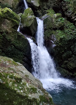 楽しかった、北川村温泉「ゆずの宿」周辺散策 楽しかった、北川村温泉「ゆずの宿」周辺散策