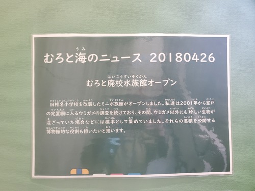 ユニークな話題の廃校水族館 ユニークな話題の廃校水族館