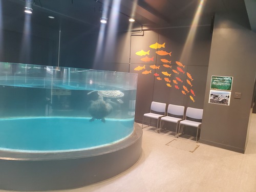 ユニークな話題の廃校水族館 ユニークな話題の廃校水族館