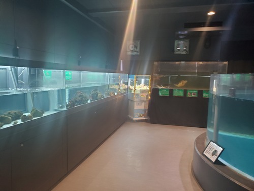 ユニークな話題の廃校水族館 ユニークな話題の廃校水族館