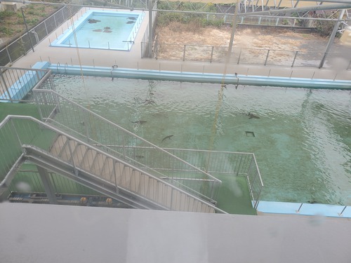 ユニークな話題の廃校水族館 ユニークな話題の廃校水族館